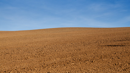 Large field prepared for sowing.
