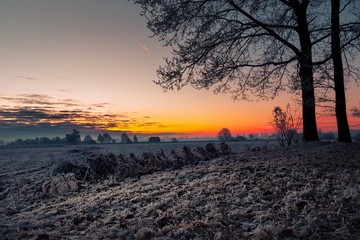 Naklejka premium Winter im Teufelsmoor - Worpswede bei Bremen