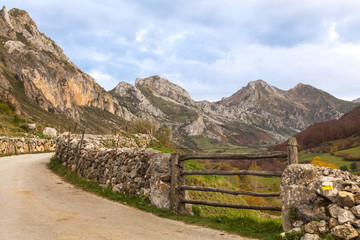Fototapeta na wymiar Camino de montaña