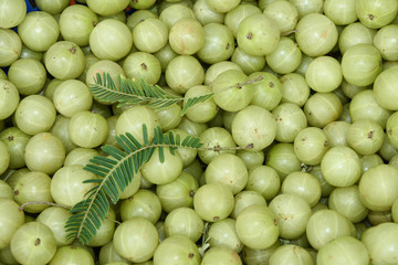 Indian gooseberry or amla used in Ayurveda medicines in India