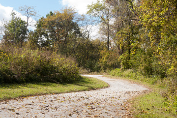 Autumn scene in the woodland