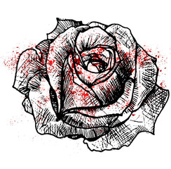 Эскиз татуировки роза акварель - obrazy, fototapety, plakaty