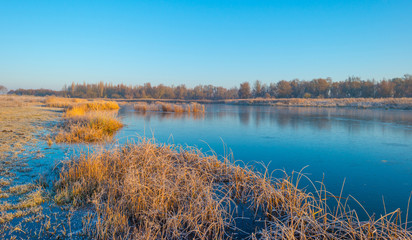 Fototapeta na wymiar Shore of a frozen lake in sunlight in winter