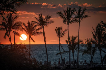 Fototapeta na wymiar Hawaiian sunset with palm tree silhouettes and red sky