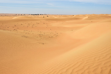 Fototapeta na wymiar Sandwüste