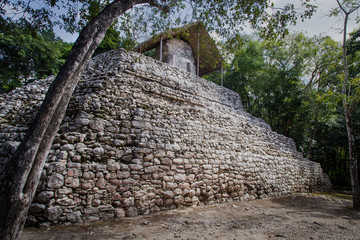 Fototapeta na wymiar Temple Mayan Pyramid in Coba, Yucatan, Riviera Maya, Mexico