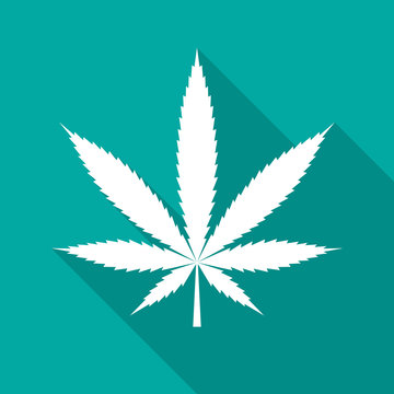 Cannabis leaf icon with long shadow. Flat design style. Marijuana silhouette. Simple green icon. Modern flat icon in stylish colors. Web site page and mobile app design vector element.