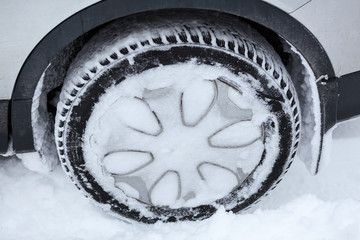 Covered with snow winter tired wheel of car