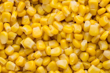 Bulk of yellow corn grains texture.