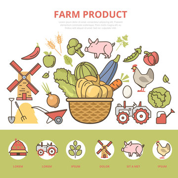 Linear flat Agriculture infographics template website vector.