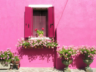 Fenster in einem pinkfarbenen Haus auf der Insel Burano, Venedig