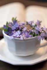 Obraz na płótnie Canvas White Teacup with Tiny Flowers