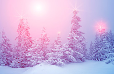 Mystical winter landscape with trees at Christmas lights shine (