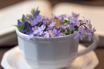 White Teacup with Tiny Flowers