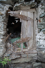 Old door