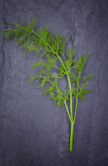 Green dill on black granite surface