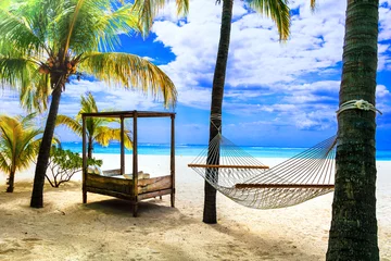 Crédence de cuisine en verre imprimé Le Morne, Maurice Relaxing tropical holidays with hammock under palm tree. Mauritius