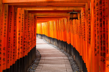 Obraz premium Tysiące bram torii w świątyni Fushimi Inari w Kioto w Japonii
