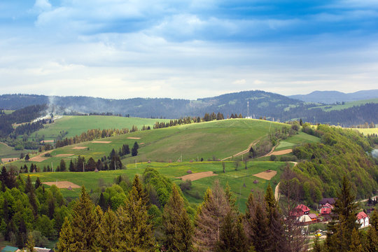 landscape of a Carpathians mountains with fir-trees and grassy v