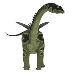 Agustinia Dinosaur on White - Agustinia was a herbivorous sauropod dinosaur that lived in South America in the Cretaceous Period. © Catmando