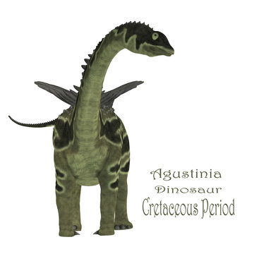 Agustinia Dinosaur with Font - Agustinia was a herbivorous sauropod dinosaur that lived in South America in the Cretaceous Period.