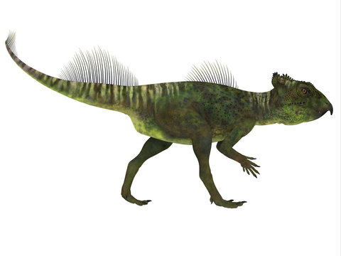 Archaeoceratops Dinosaur Side Profile - Archaeoceratops was a Ceratopsian herbivorous dinosaur that lived in China in the Cretaceous Period.