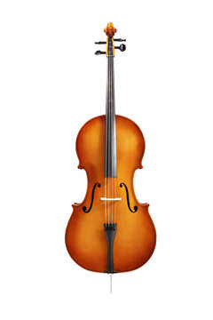 cello isolated on white