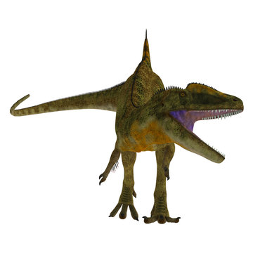 Concavenator Dinosaur on White - Concavenator was a carnivorous theropod dinosaur that lived in Spain in the Cretaceous Period.
