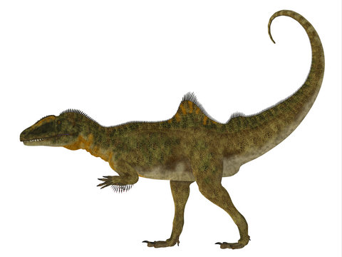 Concavenator Dinosaur Side Profile - Concavenator was a carnivorous theropod dinosaur that lived in Spain in the Cretaceous Period.