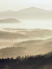 Fall morning mist. The sandstone cliff above treetops of forest