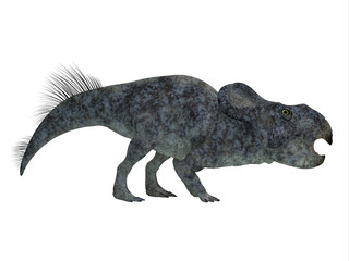 Protoceratops Dinosaur Side Profile - Protoceratops was a herbivorous Ceratopsian dinosaur that lived in Mongolia in the Cretaceous Period.