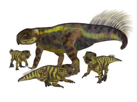 Psittacosaurus Mother with Offspring - Psittacosaurus was a Ceratopsian herbivorous dinosaur that lived in Asia in the Cretaceous Period.