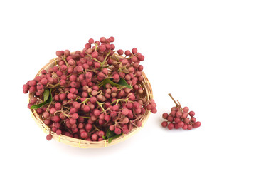 Zanthoxylum Limonella Alston., Condiment northern Thailand and traditional medicine for the treatment of various types.