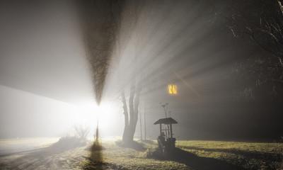 Illuminated garden by night