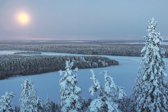 Supermoon and forest, Finland 
