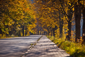 Naklejka premium Słoneczny jesienny dzień w górskim mieście Muszyna