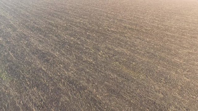 Plowed fertile field with a small amount of hay
