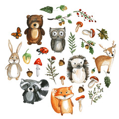 Cute woodland animals Watercolor images Kindergarten zoo icons