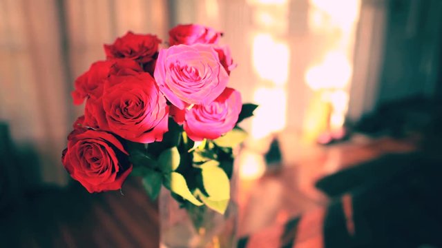Romantic Rose Bouquet Timelapse Sun 