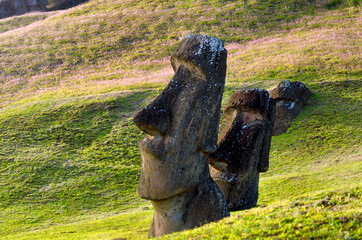 Moai Heads View