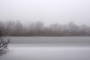 Grauabstufungen, winterliches Seeufer mit Bewuchs in unterschiedlichen Grauabstufungen