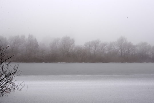 Grauabstufungen, winterliches Seeufer mit Bewuchs in unterschiedlichen Grauabstufungen