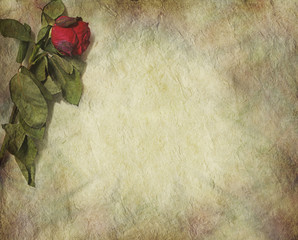 Symbolic withered grunge rose border - dried red rose laying in top left corner of stone effect rustic grunge background with plenty of copy space