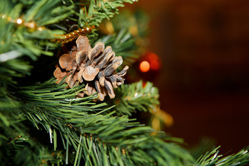 Fototapeta na wymiar Christmas decorations pinecone spruce for Christmas tree. Christmas fir tree for New Year. Fir cone on a branch. Festive simbol for children and adults.
