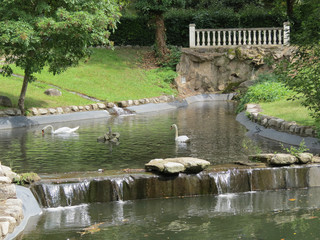Naklejka premium Pyrénées orientales - Vernet-Les-Bains - Le Parc et ses cygnes