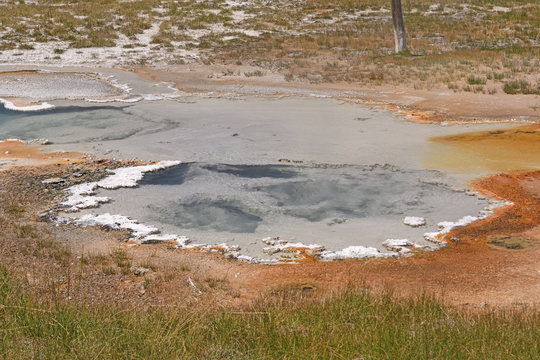 Hot Spring in a Thermal Area