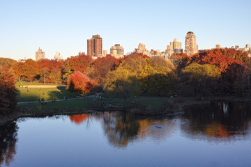 Autumn in Central Park, orange red trees - 129505949
