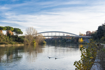 Fototapeta na wymiar Rome (Italy) - Ponte della Musica-Armando Trovajoli