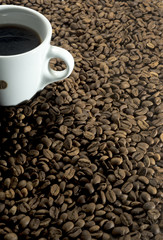 White cup surrounded by roasted coffee beans.