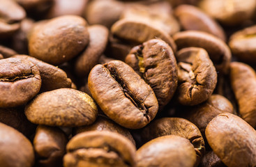 Coffee beans background. Coffee.